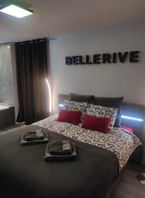 Bellerive Love Suite Magnifique Vue Lac Publier Eksteriør billede